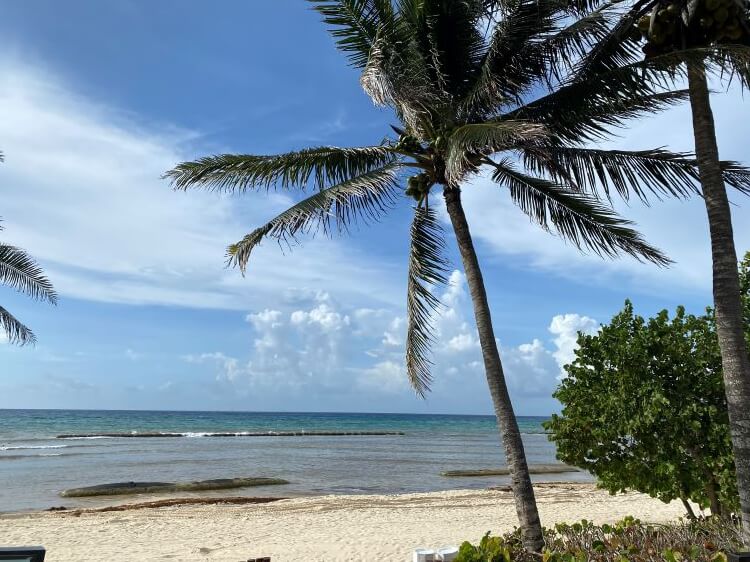 Grand Velas Riviera Maya, Jackie Roby